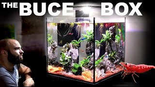 The Buce Box ALL IN ONE Shrimp Cube Aquarium [upl. by Marcie]