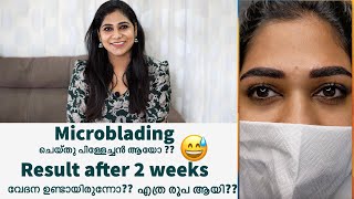 🔥Celebrity Secret Microblading Detailed VideoPriceവേദന ഉണ്ടായോResult after 2 Weeks [upl. by Einnaffit]