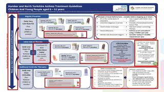 Transforming Asthma Care [upl. by Arej]