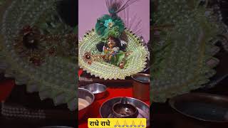 Kankariya se matki ll trending song radhe krishnabhajan krishnastatus shorts [upl. by Eibocaj]