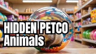 Hidden Creatures Found at Petco [upl. by Dnallor]