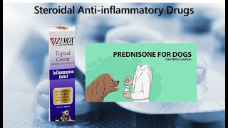 9 Steroidal Anti inflammatory Drugs [upl. by Seumas]