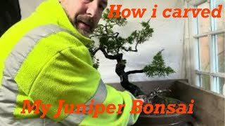 How i carved my Juniper Bonsai ￼ [upl. by Anairam]