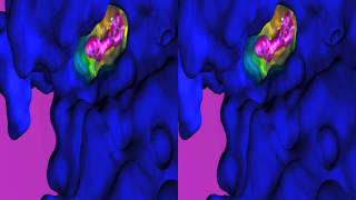 3D Mechanism of Iressa Drug Resistance [upl. by Lubeck]