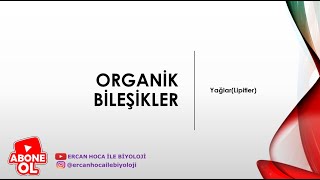 5 Organik Bileşikler YağlarLipitler Ercan Hoca İle Biyoloji [upl. by Ninetta46]