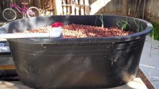 Aquaponics  Complete System Walkthrough [upl. by Notecnirp]