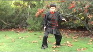 Five Animal Frolics for Beginners （Chinese Health Qigong Chi Kung） [upl. by Eidac]