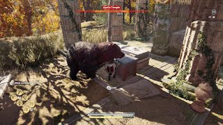 Assassins Creed Odyssey Using Wild Bear Against Enemies At Apollo Temple [upl. by Ttelrahc]