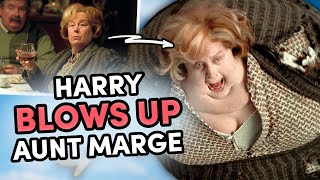 Harry Potter Gets Revenge On Aunt Marge  Prisoner of Azkaban [upl. by Uta]