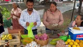 Llega Tianguis Campesino a Martínez de la Torre [upl. by Chadabe]