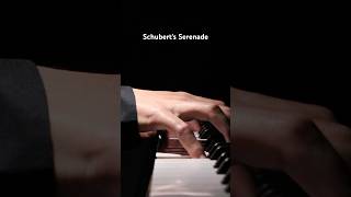 Serenade✨ piano music pianomusic classicalmusic [upl. by Torbert]