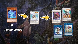 BROKEN World Chalice 1 card combo Yugioh Omega [upl. by Lipman744]