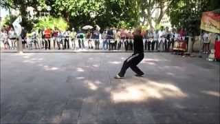 Choy Lay Fut Kung Fu in Hong Kong  蔡李佛  德 尼 蒂 斯 功 夫 [upl. by Oniluap502]