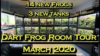 Poison Dart Frog Room Tour March 2020 14 New Frogs 3 New Vivs [upl. by Miarhpe]