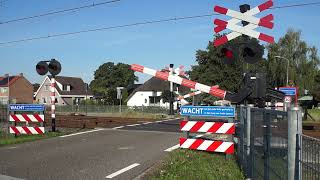 Spoorwegovergang Hattemerbroek  Dutch Railroad Crossing [upl. by Feinleib426]