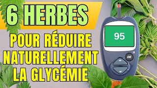 Diabète  6 Herbes pour Réduire Naturellement la Glycémie [upl. by Muscolo]