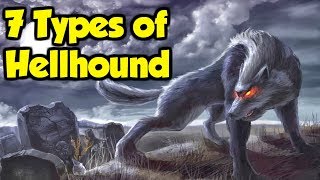 What Are Hellhounds  7 Types of Hellhound From Great Britain amp The Rest of Europe [upl. by Aidekal]