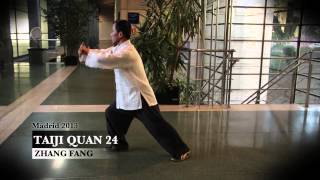 TAIJIQUAN 24 ZHANG FANG MADRID 2013 [upl. by Kurzawa]