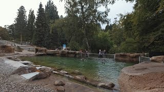 ZeitrafferRundgang durchs Polarium im Zoo Rostock [upl. by Vine]