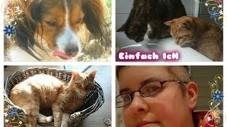 VLOG ♡ Persönliches über mich ★ Trichotillomanie ♥ [upl. by Skilken877]