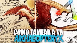 COMO TAMEAR A TU ARCHAEOPTERYX  Guia Español  Ark Survival Evolved [upl. by Trammel]