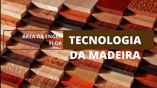 Divulga Florestal Online Tecnologia da Madeira [upl. by Lemire682]