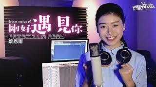 李玉剛【剛好遇見你】EDM Cover  蔡恩雨 Priscilla Abby [upl. by Aleahpar]