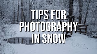 Tips for Winter Photography in Snow  Woodland [upl. by Shelly]