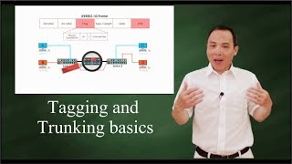 IEEE 802 1Q Tagging and Trunking 101 [upl. by Grobe]