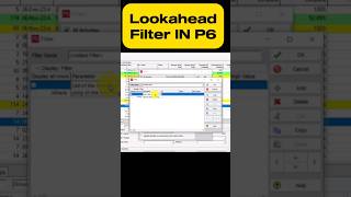 1 Month Lookahead Filter in P6 oracle planning viral primavera egypt kuwait P6 excel filter [upl. by Idnam66]