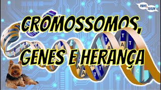 Cromossomos Genes e Herança Mendeliana  PdT no Foco 05 [upl. by Healy]