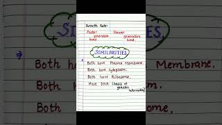 biology prokaryotic cells and Eukaryotic cells difference  similarities  diagram of Both cells [upl. by Sagerman]