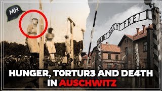 This is how they T0RTURED WOMEN to DE4TH in Auschwitz and Ravensbrück [upl. by Corina]