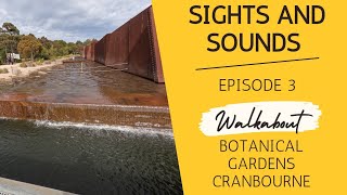 Ep 3 sights and sounds  botanical gardens Cranbourne [upl. by Betti]