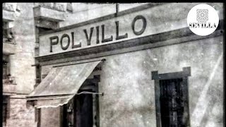 Polvillo [upl. by Alyahc]