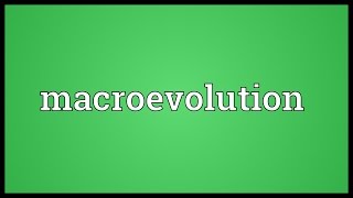 Macroevolution Meaning [upl. by Kushner]