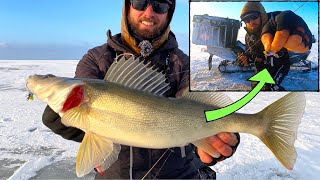 The Hunt for First Ice Fishing Walleye [upl. by Aicyla256]