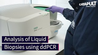 Analysis of Liquid Biopsies using ddPCR [upl. by Holofernes]