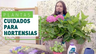 Cómo cuidar y podar las hortensias  Plantas en VERDECORA [upl. by Inalial]