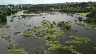 Auckland Floods January 2023 [upl. by Aribold242]