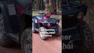 atv hammer mikilonlinhai yamahapentora mikilon 250cc shortvideo atv [upl. by Echikson]