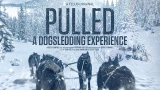 Pulled  A Dog Sledding Experience [upl. by Aileda]