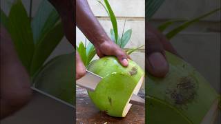 Big Green Soft Coconut cuttingskills softciconut [upl. by Schroer]