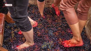 How is WINE made The Amazing Art of FOOT PRESSED Wine Production [upl. by Zilla]