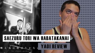 Saezuru Tori wa Habatakanai The Clouds Gather  Yaoi review [upl. by Elbart]