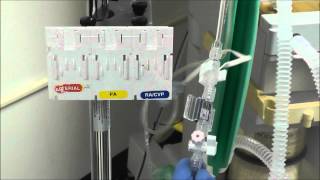 How to Setup an Arterial Line Transducer [upl. by Sevy764]