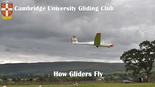 How Gliders Fly [upl. by Skyla171]