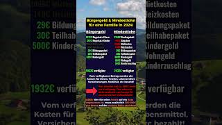 Bürgergeld vs Mindestlohn für Familien in 2024 [upl. by Darell]