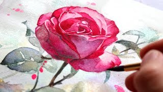 WATERCOLOR TUTORIAL FOR BEGINNERS How To Paint A Rose In 5 Steps [upl. by Leunamne588]