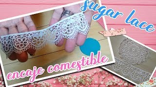 ENCAJE COMESTIBLE O SUGAR LACE RECETA CASERA [upl. by Becka]